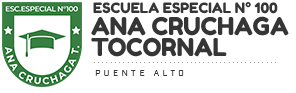 Escuela Especial N°100, Ana Cruchaga Tocornal – Puente Alto